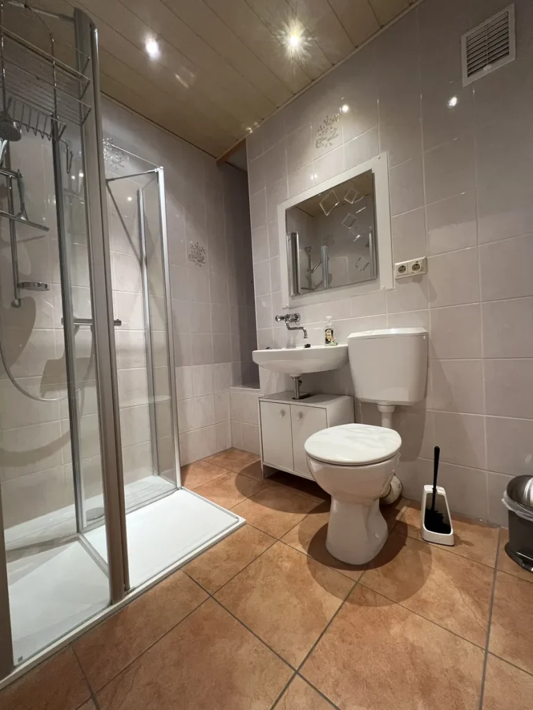 Bad mit WC und Dusche in der Ferienwohnung in Ehrenfriedersdorf